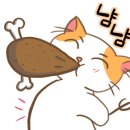 거진축산 이미지