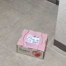 과일깎는오빠 | 온브릭스 과일 새벽배송 , 🍑 설레는 말랑이복숭아 후기