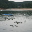 몽산포항 이미지