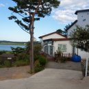 아잘리아그린 이미지