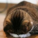 순천 국민여가캠핑장 이미지