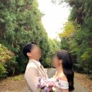 코in제주 | W2. [러베이] 동화감성 제주 웨딩스냅 촬영 후기