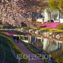 경천 투어코리아