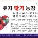 배바우농장 Daum카페