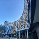 고고고 당구장 | 정선 하이원 스키장 리조트 렌탈샵도 있는 메이힐스리조트