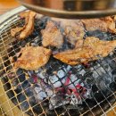 신흥애견센타 이미지