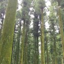 절물자연휴양림 이미지