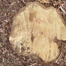 은평-071 이미지