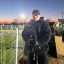 메이저 애견훈련학교 | 메이저 애견훈련학교 셰퍼드 가족을 보러 다녀왔다