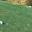 소피아그린 이미지