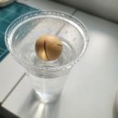 알라보올림픽공원점 | 올림픽공원 맛집 알라보 allavo 수비드비프 내돈내산 샐러드 점심 식사후기