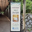 박문여자고등학교 | 천주교 관면혼배 준비! 인천교구 카나혼인강좌 솔직 후기 💍