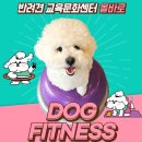 올바로교육문화센터 이미지