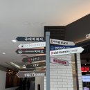 비바플렉스 이미지