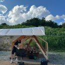 하모니마트 이미지