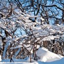 수원 한우리 산악회 제주도 2박3일 특별산행 이미지