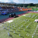 해인태권도 이미지