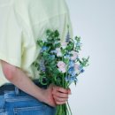 적당한 날 이미지