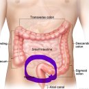 잠실연세내과의원 이미지