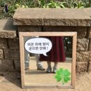 천리스테이 이미지