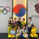 국가대표 라이온 태권도장 이미지