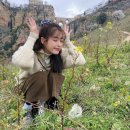 아이유파트너스