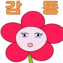 포레피아노음악학원 네이버블로그