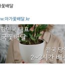 대한민국꽃배달