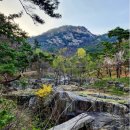 3월28일(토)무악재 하늘길~개나리 꽃 만발 수성동계곡~경복궁 이미지