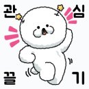 위메이킷 이미지