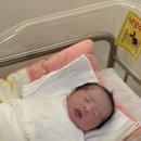 (주)국송 | 수원 세인트마리여성병원 초산 자연분만 2박3일 입원 후기 다인실 회복과정 출산선물