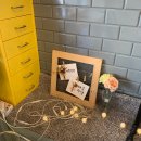 아롱펫샵 이미지