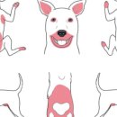 분당 피엘 동물피부클리닉 이미지