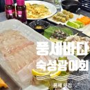 풍세바다