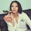 치타 카카오 검색결과