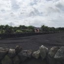 시흥리-7 이미지