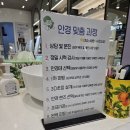 안경진정성 윙크 동수원사거리점 이미지