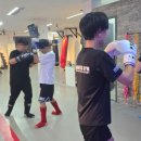 팀몬스터 복싱 | 정관복싱 찾다가 선택한 팀몬스터, 아이가 먼저 좋아해요^^