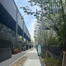 [강남/학동] 두피관리 최고인 강남 예쁘다 에스테틱