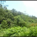 내서읍1170 이미지