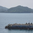 남해군남면홍현보건진료소 | 남해 바래길 10코스 중 일부 다랭이길 - 바래길 중 하나만 걸어야 한다면 추천하는 꿀바래길