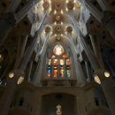 파밀리아 | 바르셀로나 필수 코스 가우디 투어 반일 후기 (사그라다 파밀리아 입장)