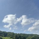 장태산 노랑펜션 이미지