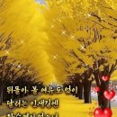 ♡금지언향(今之言香)♡ 이미지