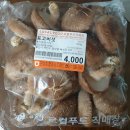 알콩달콩커피 이미지