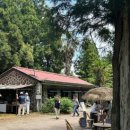 제주 와일드 이미지