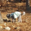 중랑차동물병원 이미지