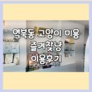 즐겨찾냥 | 즐겨찾냥 | 역북동 고양이 미용 다녀온 리뷰