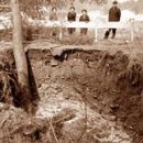 솔안마을 이미지