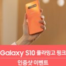 플라밍고스토어